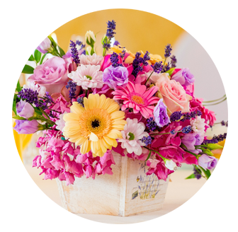 Birthday Flowers Berrylands