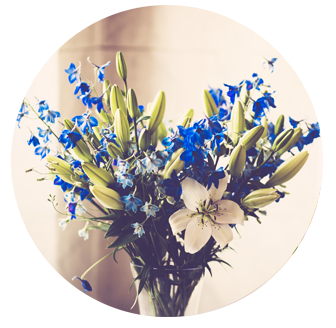 Sympathy Flowers Berrylands